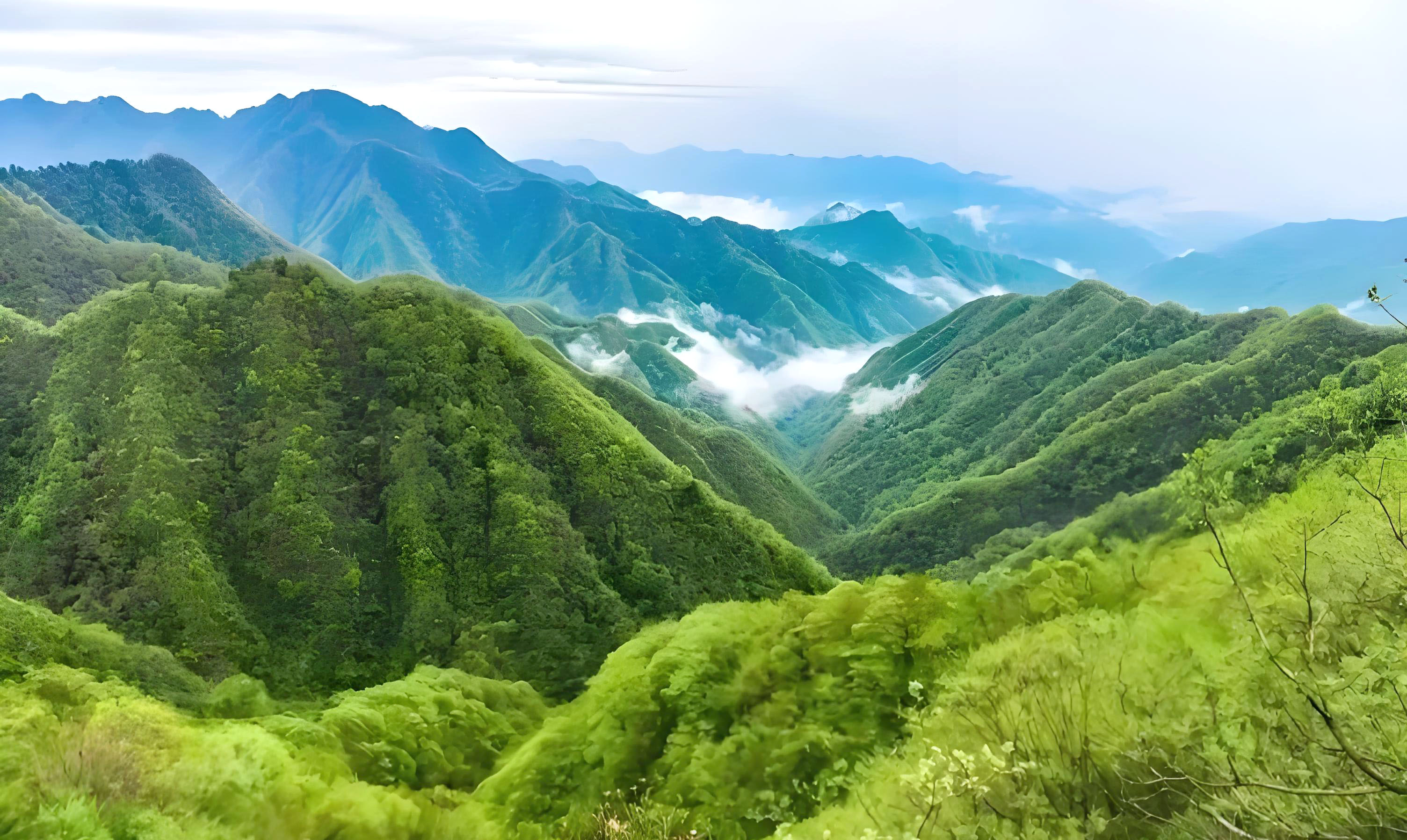 1764819022931008689.jpg 111.jpg